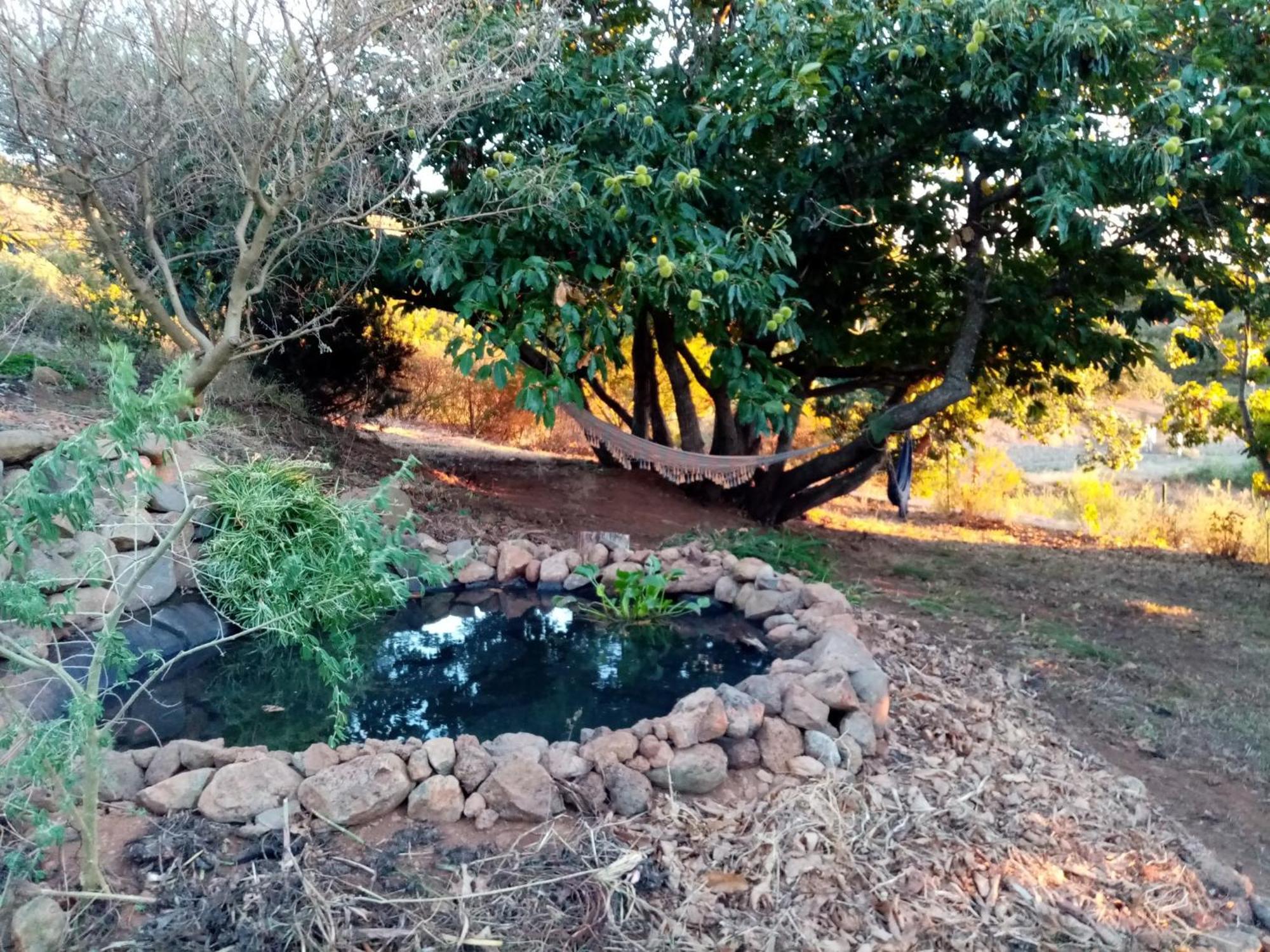 Finca Caboquitos Garafia Ngoại thất bức ảnh